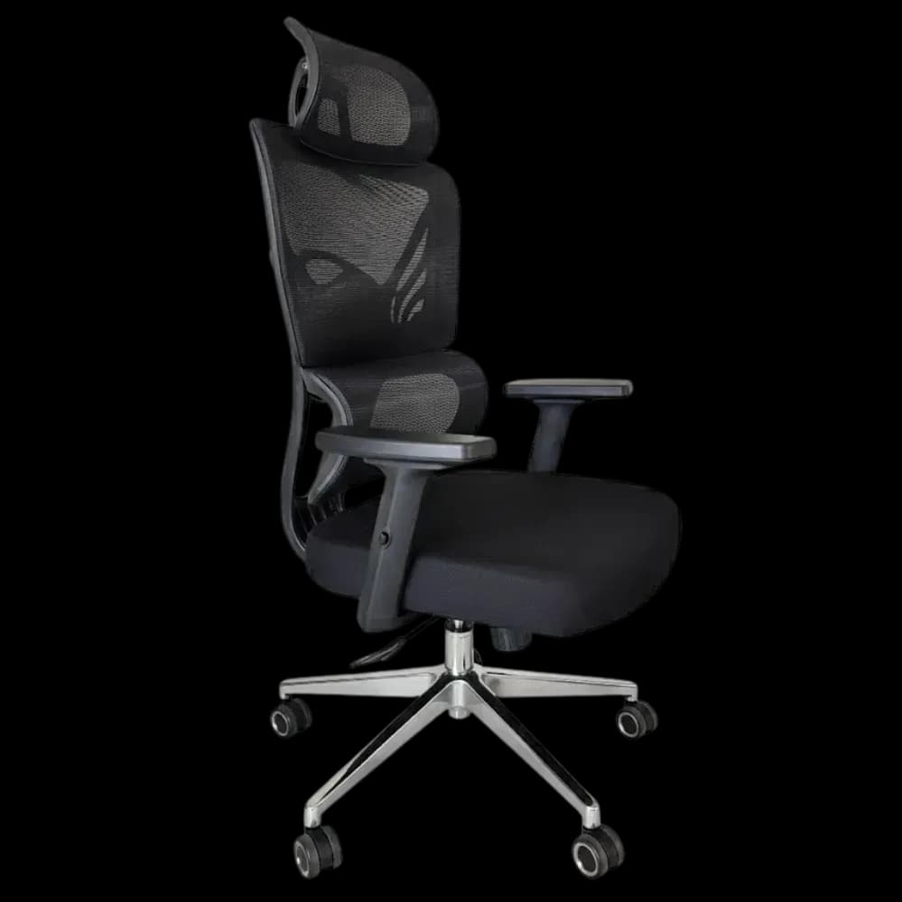 Ergonomic Office - Chair
