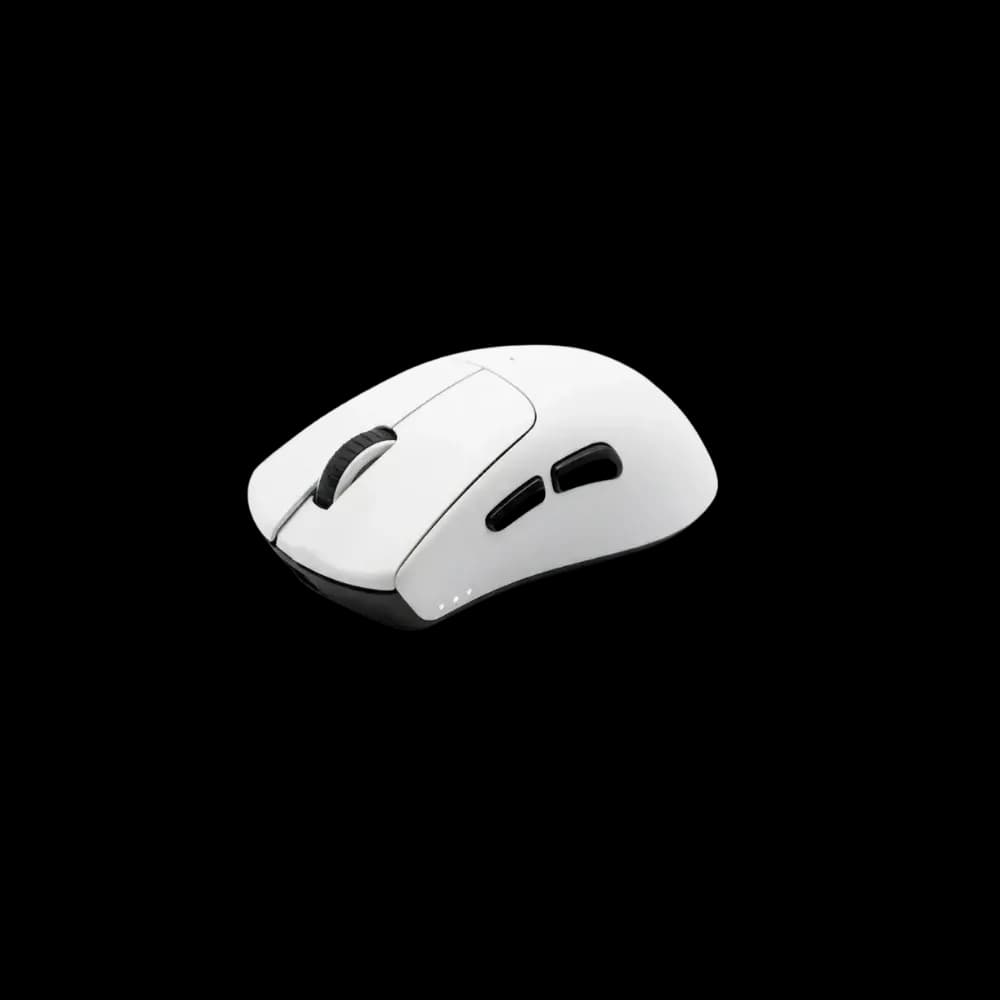 Sorex Mouse