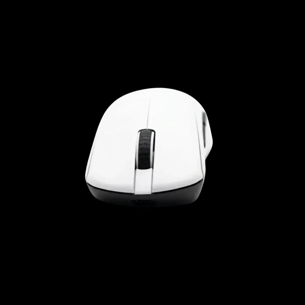 Sorex Mouse
