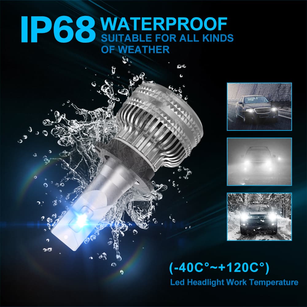 NaoEvo D2S/D2R LED Bulbs